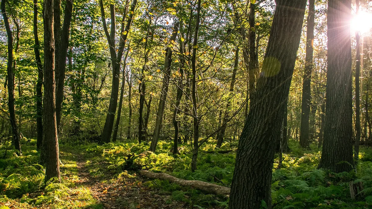My First Solo Backpacking Trip: 5 Lessons I Learned the Hard Way
