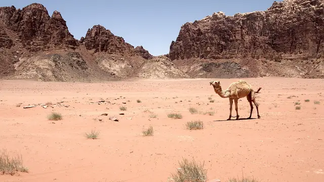 12 Places on Earth That Look Like Another Planet